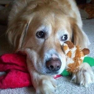 Meet your Posher, Cathy